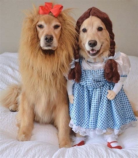 costumes with dogs